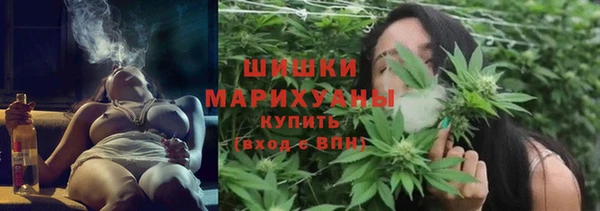 молекула духа Заволжье