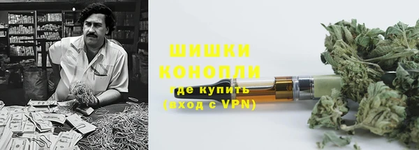молекула духа Заволжье