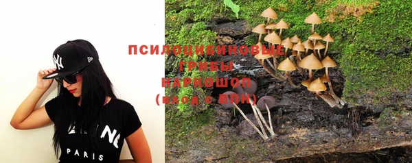 молекула духа Заволжье