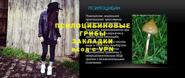 молекула духа Заволжье