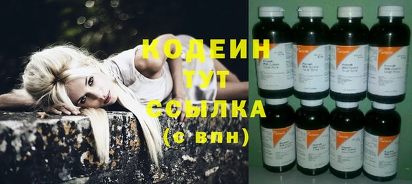 дживик Заводоуковск