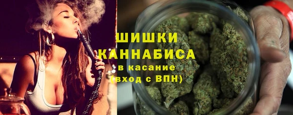 дживик Заводоуковск