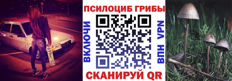 магазин продажи   маркетплейс клад  Псилоцибиновые грибы GOLDEN TEACHER  Инта 
